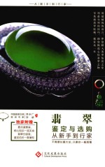 翡翠鉴定与选购从新手到行家 封面