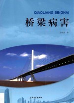 桥梁病害 封面