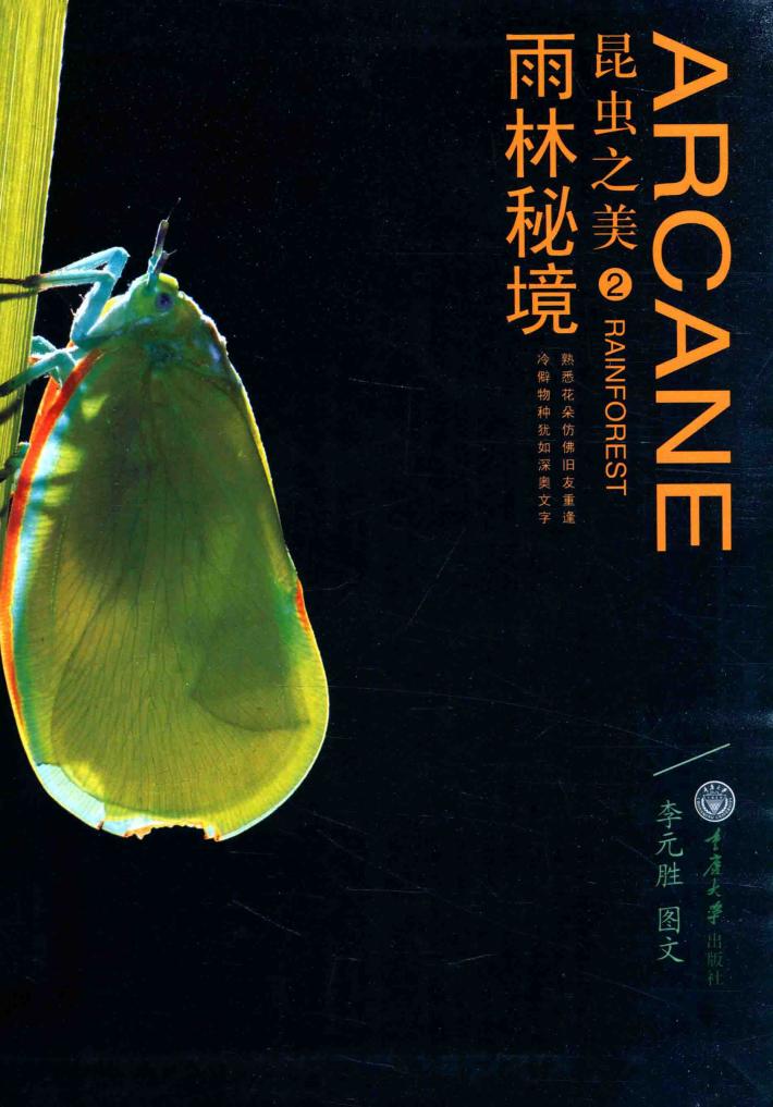 昆虫之美  2  雨林秘境 封面