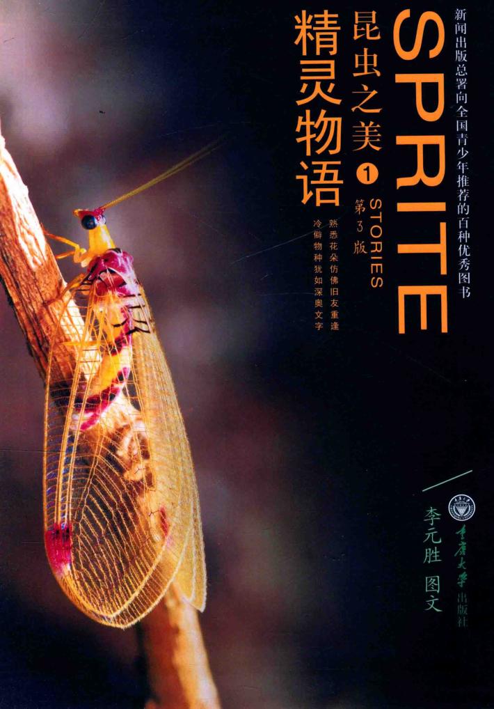 昆虫之美  1  精灵物语 封面