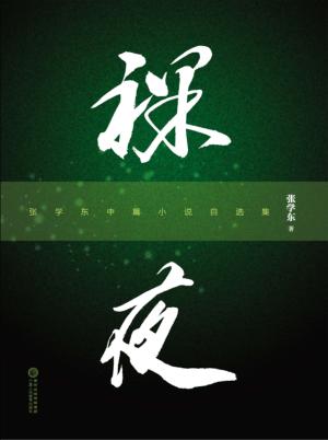 裸夜  张学东中篇小说自选集 封面