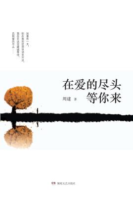 “大风”原创长篇小说丛书 在爱的尽头等你来 封面