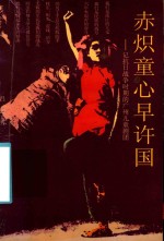赤炽童心早许国 封面