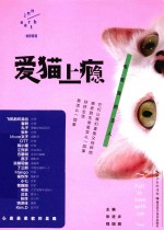 爱猫上瘾  毛茸茸的主人 封面