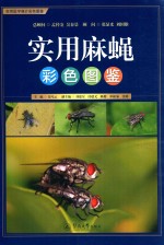 实用麻绳  彩色图鉴 封面