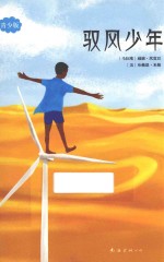 驭风少年  青少版 封面