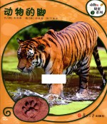 动物的脚 封面