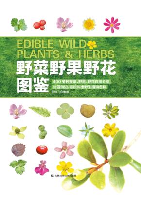 野菜野果野花图鉴