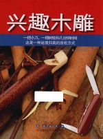 兴趣木雕  一把小刀、一根树枝和几分钟时间这是一种返璞归真的放松方式 封面