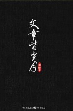 文章皆岁月 封面