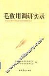 毛致用调研实录 封面