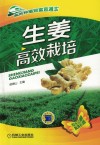 生姜高效栽培 封面