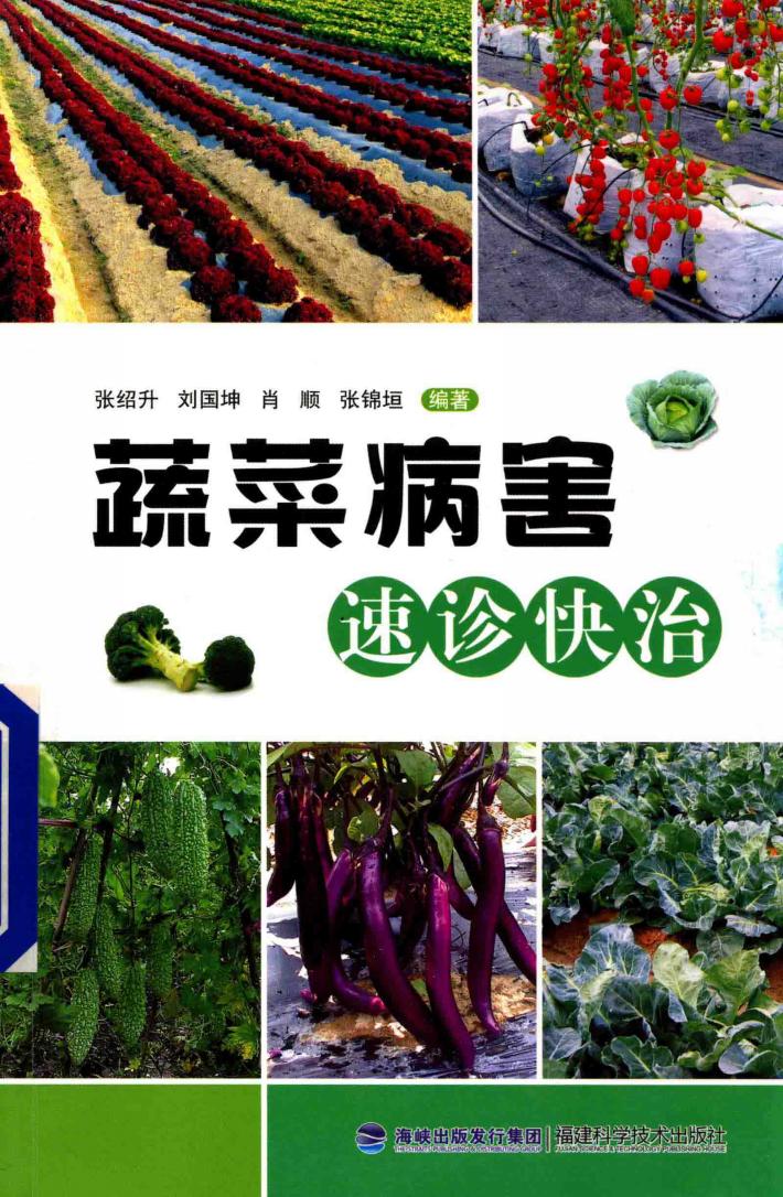 蔬菜病害速诊快治 封面