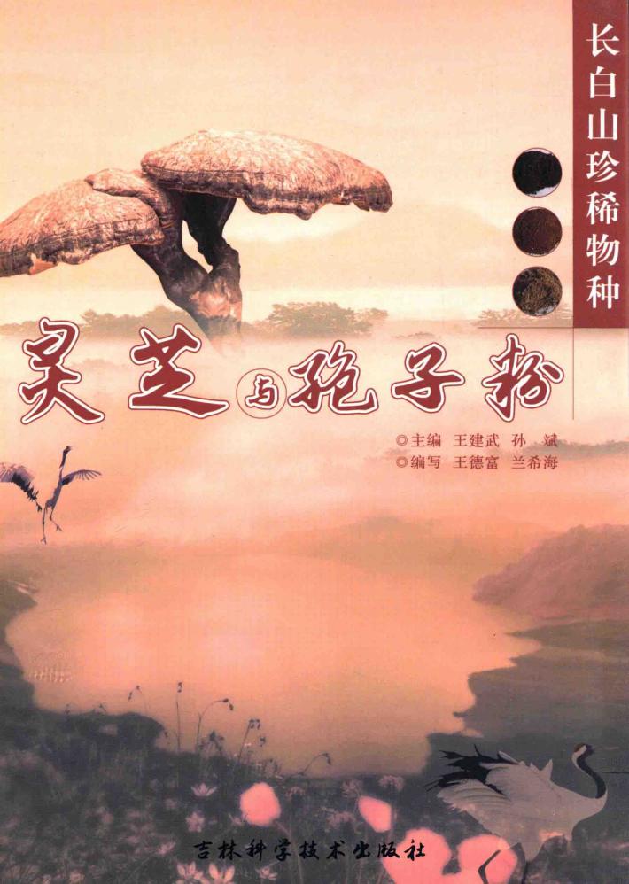 长白山珍稀物种  灵芝与袍子粉 封面