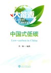 大能源  中国式低碳 封面