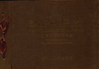 彼岸菩提  补怛洛伽百年旧影 封面