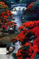 江门五邑是我家 封面