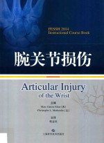 腕关节损伤 封面