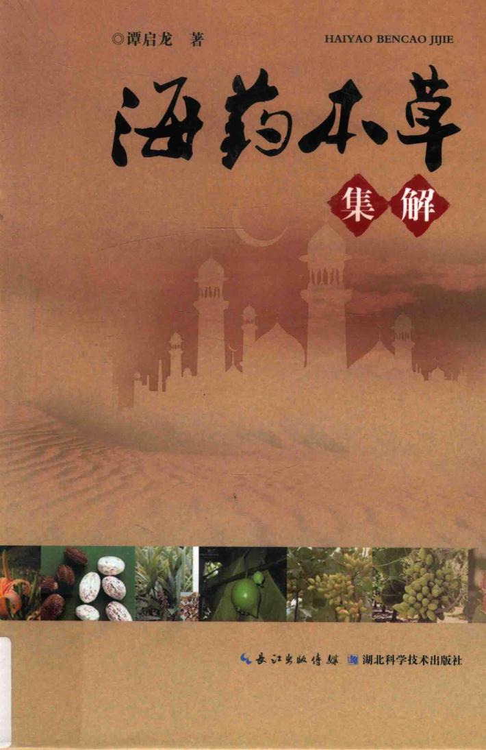 海药本草集解 封面