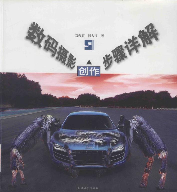 数码摄影创作步骤详解 封面