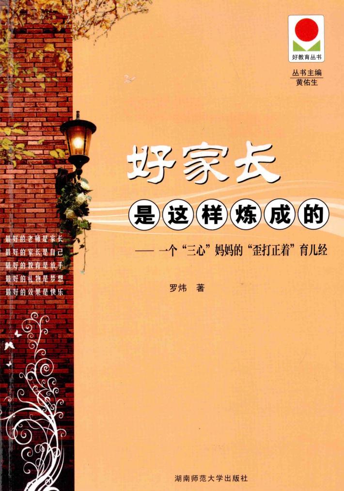 好家长是这样炼成的  一个三心妈妈的歪打正着育儿经 封面