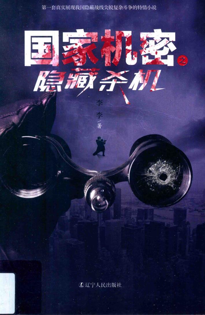 国家机密之隐藏杀机 封面