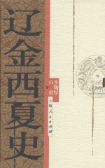 辽金西夏史 封面