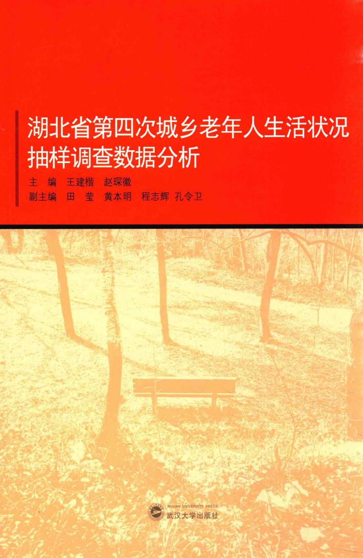 湖北省第四次城乡老年人生活状况抽样调查数据分析 封面
