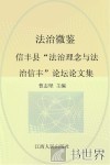 法治微鉴  新丰县“法治理念与法治信丰”论坛获奖论文集 封面