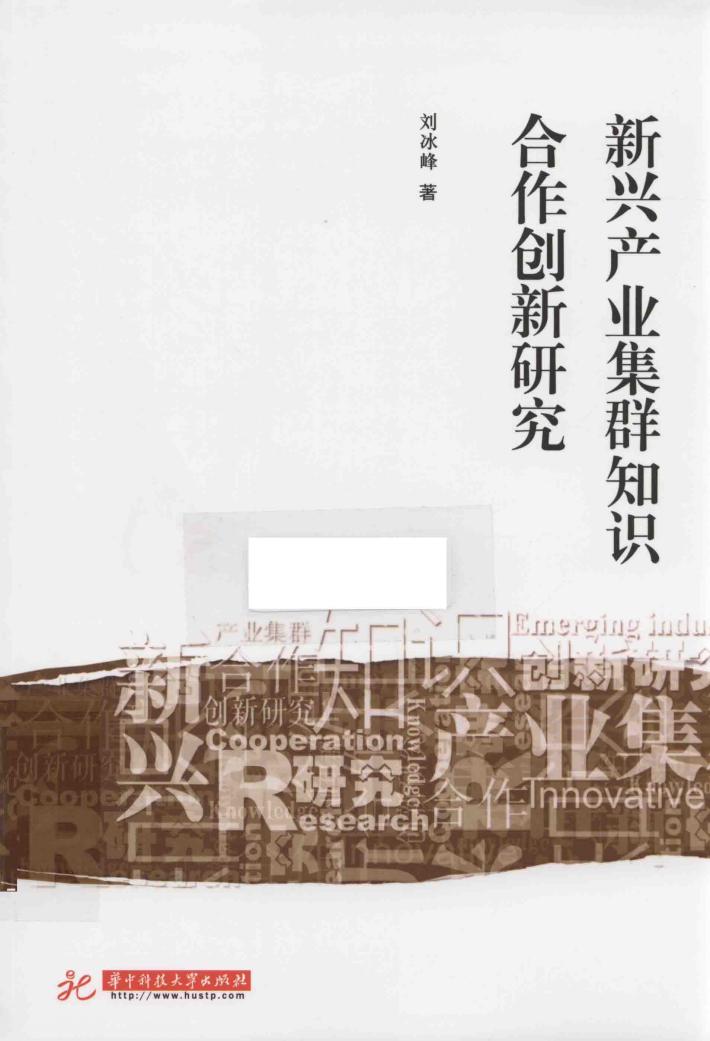 新兴产业集群知识合作创新研究 封面