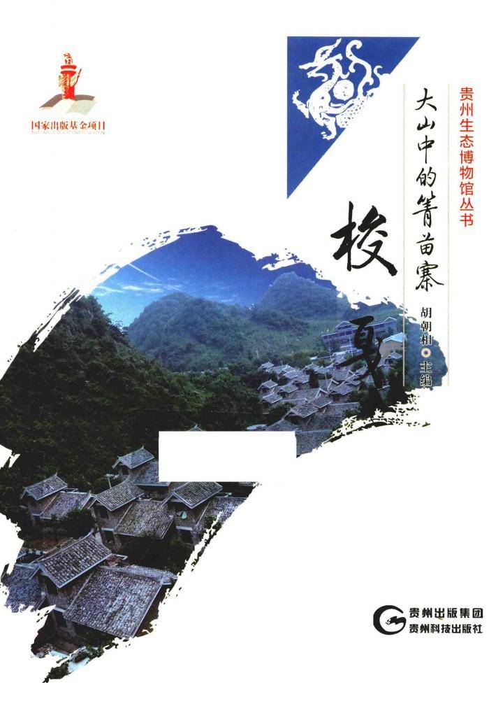 梭戛  大山中的箐苗寨 封面
