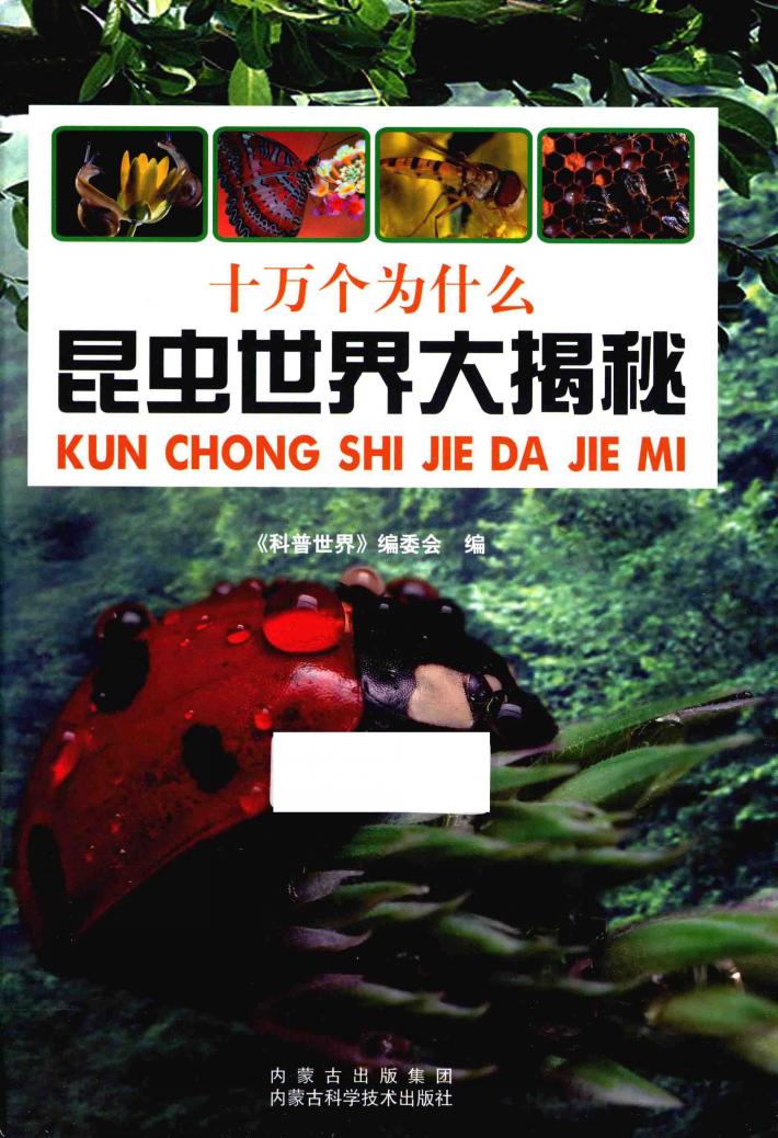 十万个为什么  昆虫世界大揭秘 封面