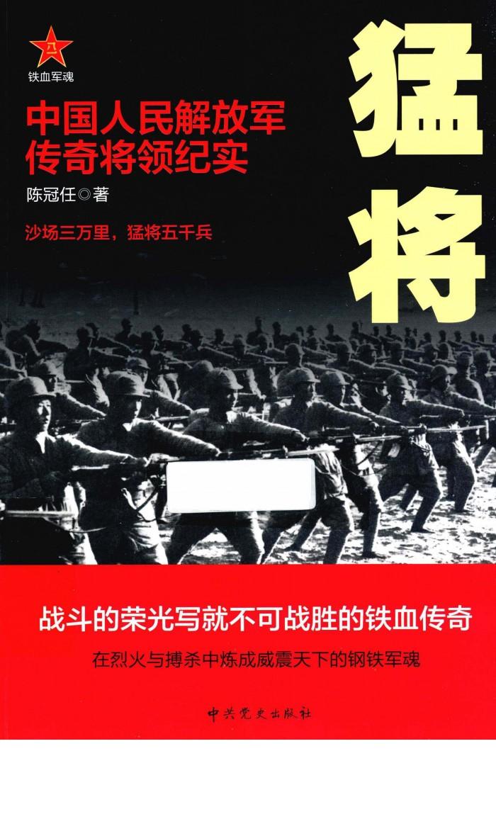 猛将  中国人民解放军传奇将领纪实 封面