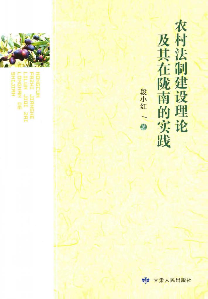 农村法制建设理论及其在陇南的实践 封面