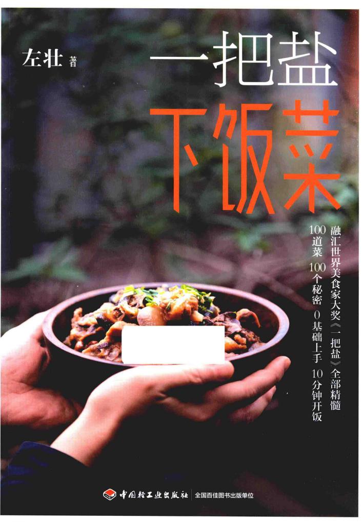 一把盐下饭菜 封面
