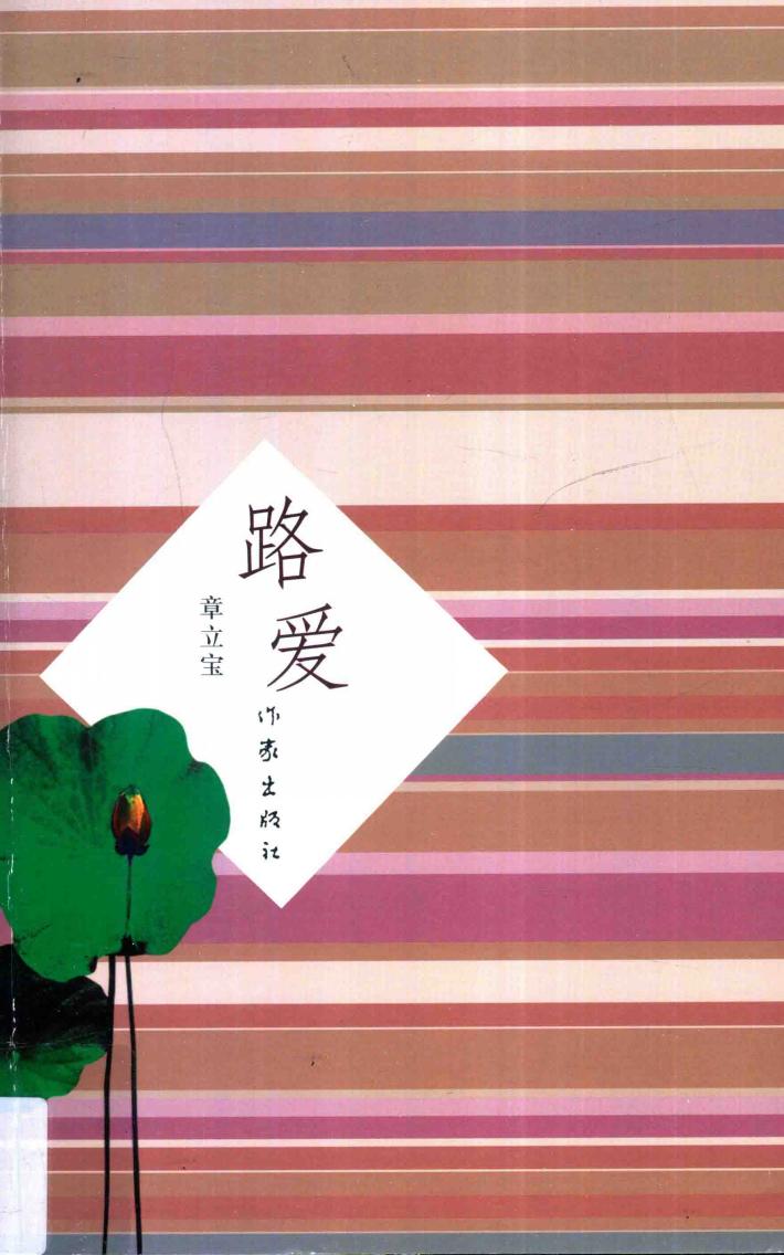路爱 电子书封面