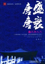 唐盛唐衰  3  凤舞九天 封面