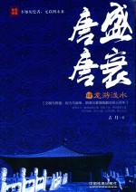 唐盛唐衰  4  龙游浅水 封面