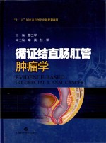 循环结直肠肛管肿瘤学 封面