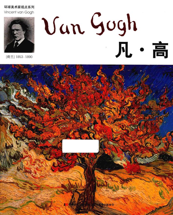 环球美术家视点系列  凡·高 封面