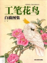 工笔花鸟白描图集 封面