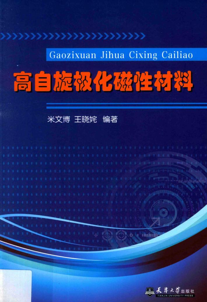 高自旋极化磁性材料 封面