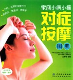 家庭小病小痛对症按摩图典 封面