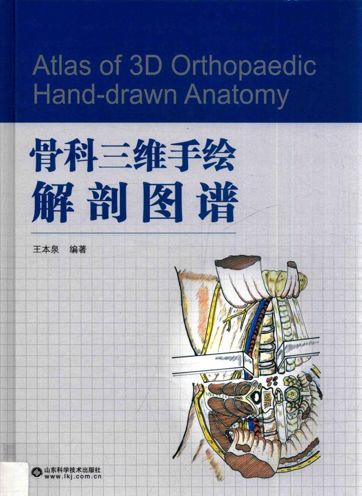 骨科三维手绘解剖图谱 封面