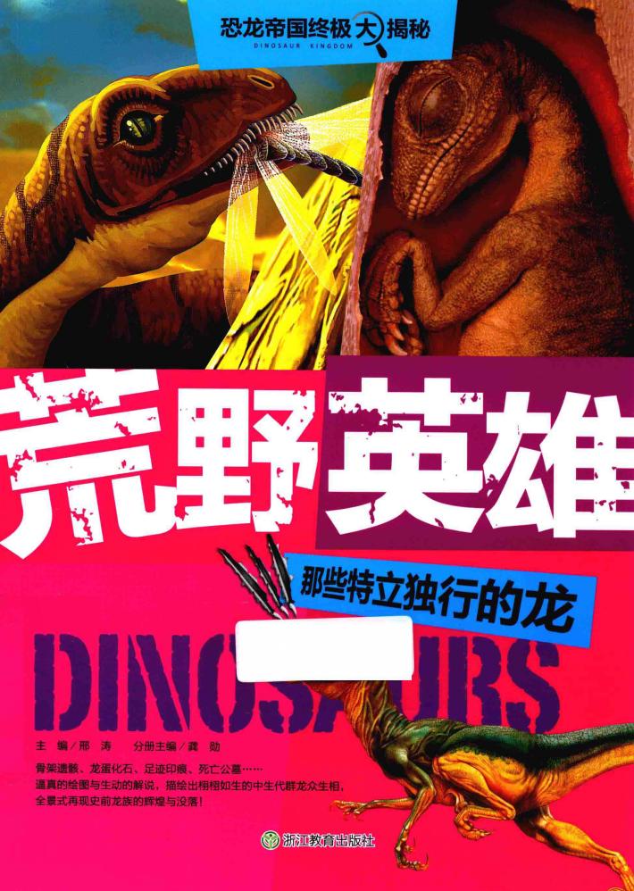 荒野英雄  那些特立独行的龙 封面