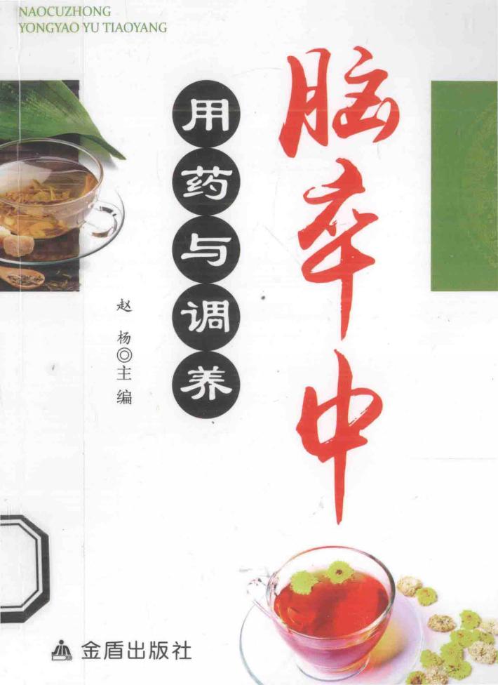 脑卒中用药与调养 封面