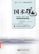 国术魂  中国武术的精神世界 封面