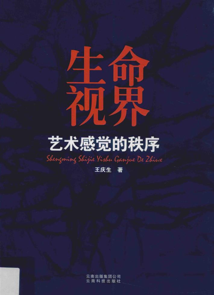 生命视界  艺术感觉的秩序 封面