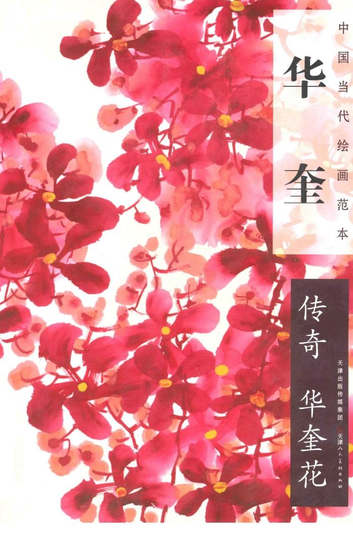 华奎  传奇  华奎花 封面