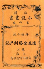 埃及金塔剖尸记  上 封面